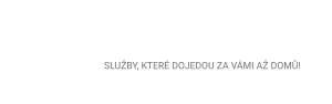 Dojedeme.cz logo